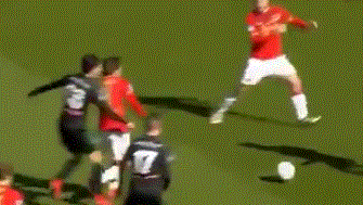 仅需要技术 仅需要技术